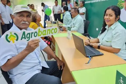 El Ministerio de Desarrollo Agrario y Riego (Midagri) otorgó créditos para fortalecer la comercialización de café para un total de 2,303 pequeños productores asociados en el departamento de Junín.