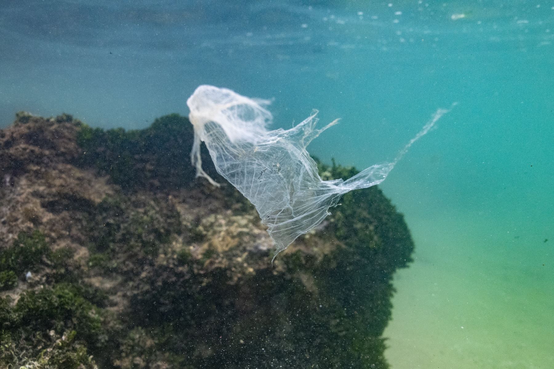 En esta fotografía tomada el 31 de diciembre de 2021, una bolsa de plástico flota en las aguas del océano Índico cerca de la ciudad de Ahangama en Galle.
Foto: AFP