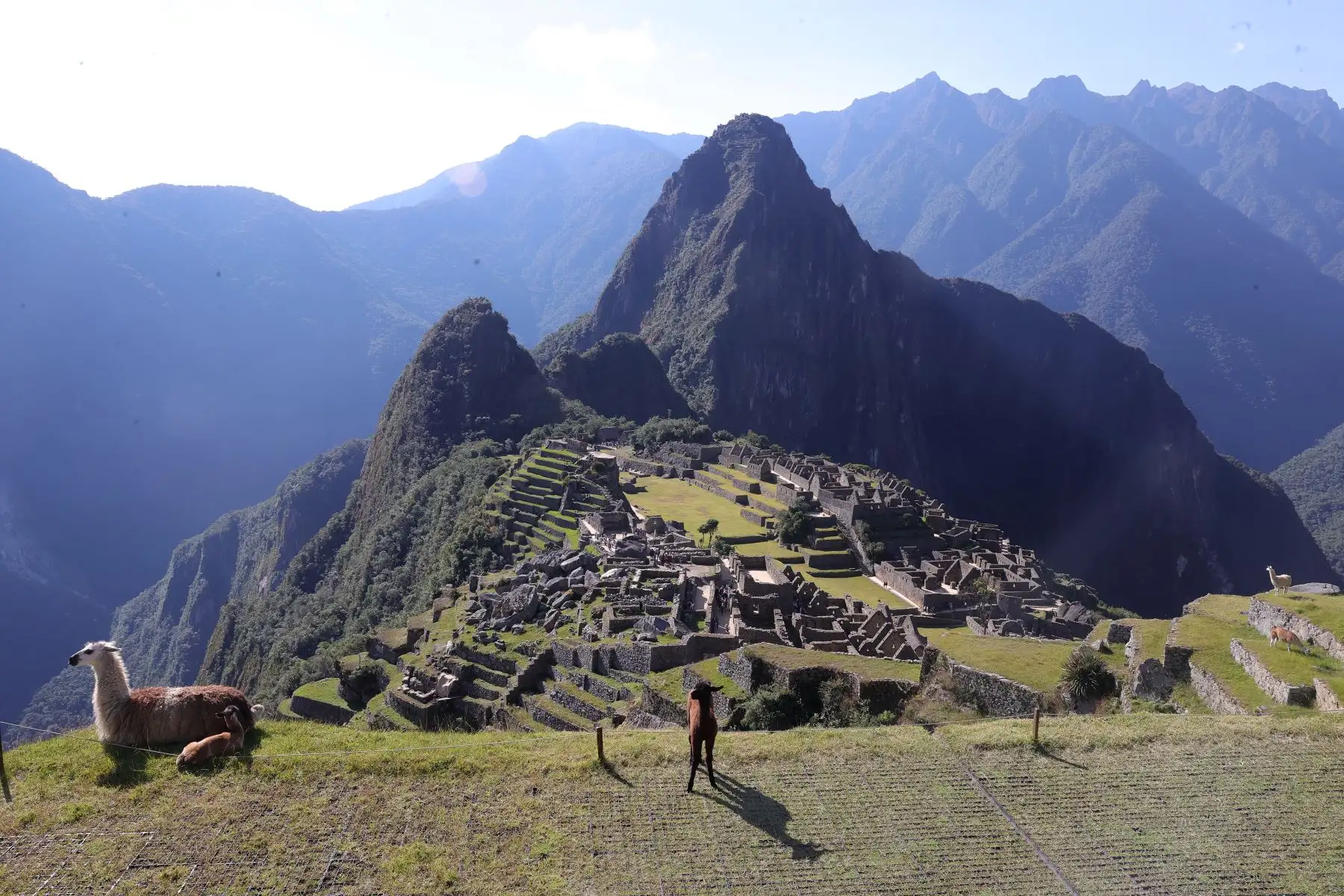 Funcionarios y autoridades que visitaron Machupicchu quedaron maravillados con el Santuario, así como con el paisaje que observaron durante el recorrido. 
Foto: ANDINA/Melina Mejía