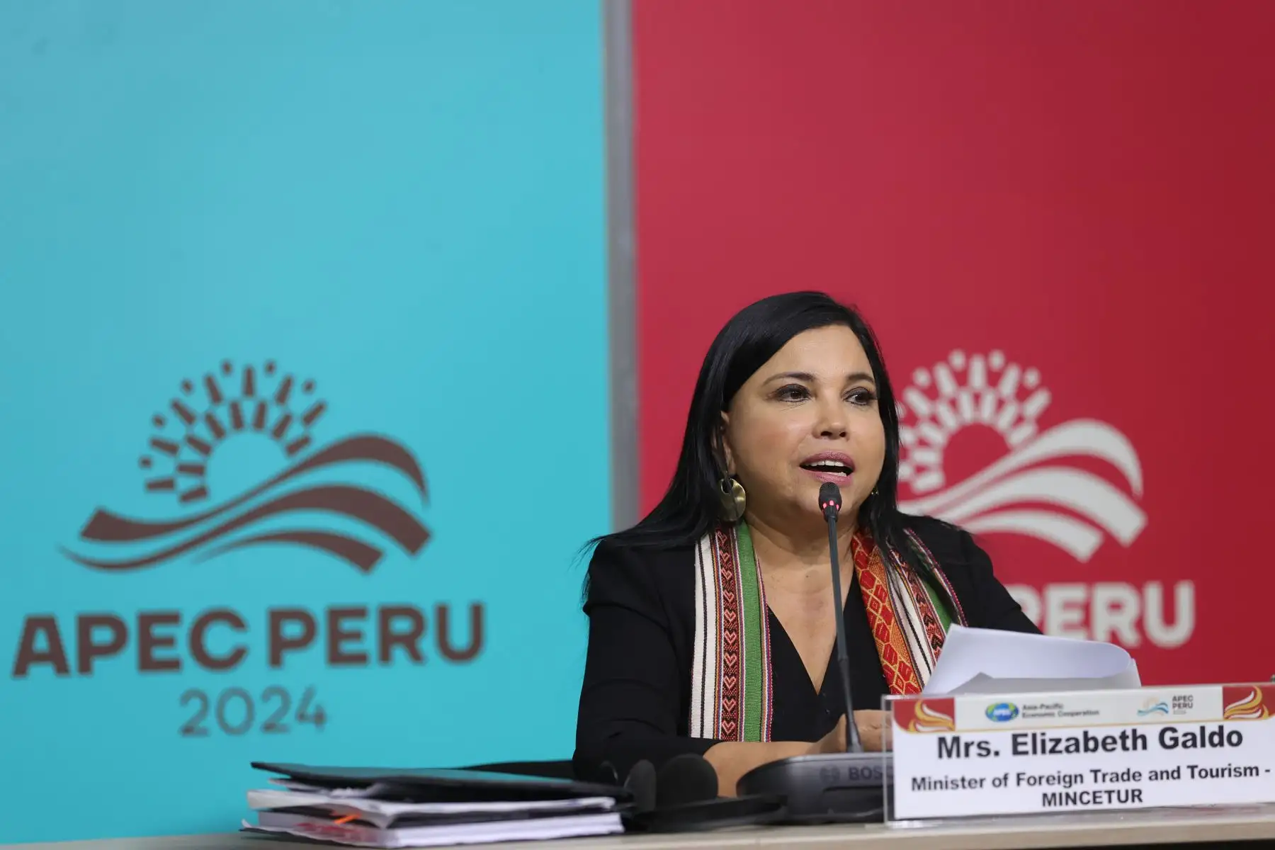 Foto: ANDINA/Melina Mejía.