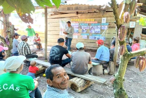 San Martín: cerca de 10,000 pobladores de Pólvora se benefician con apoyo del PEAH