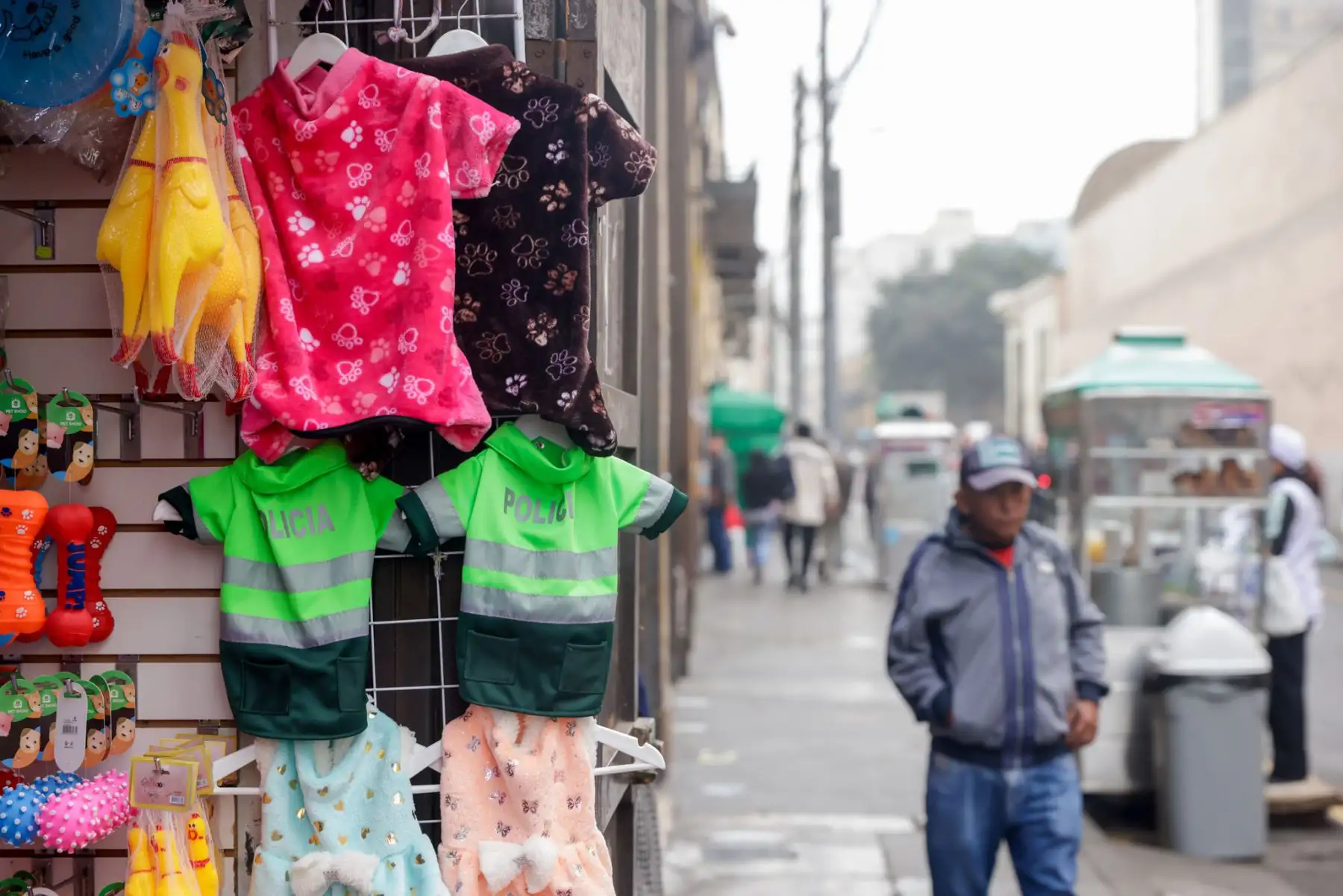 Ellos también sienten frío. Frente a las bajas temperaturas, limeños buscan abrigos para toda la familia, incluyendo a sus mascotas. Foto: ANDINA/Luis Iparraguirre