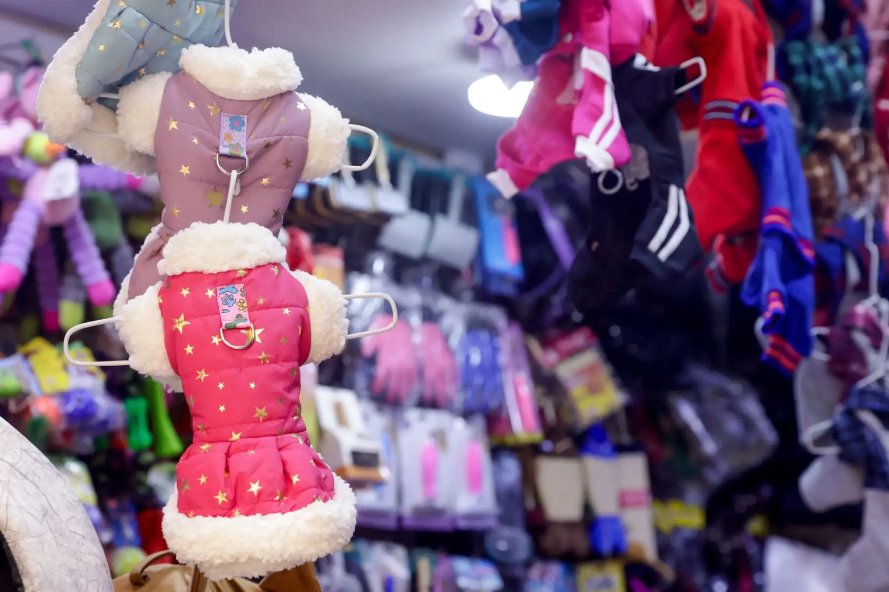Desde las razas más pequeñas, como los bulldog francés, hasta grandes dálmatas, comerciantes ofrecen prendas abrigadoras de todas las tallas. Foto: ANDINA/Luis Iparraguirre