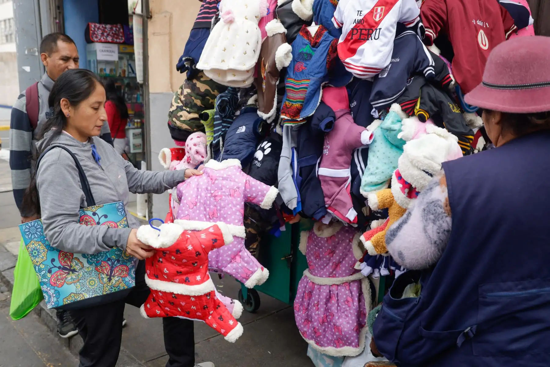 Compradores deben tomarse el tiempo para escoger el modelo que más le agrade, ante tanta y variada oferta. Foto: ANDINA/Luis Iparraguirre