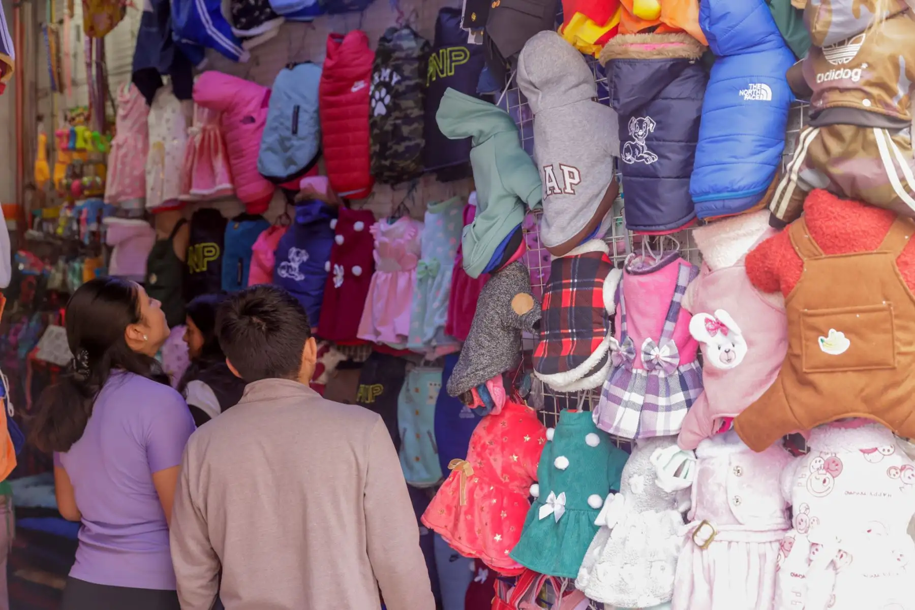 Las tiendas ofrecen a la clientela una gran variedad de acabados y materiales con los que se ha confeccionado cada abrigo perruno. Foto: ANDINA/Luis Iparraguirre