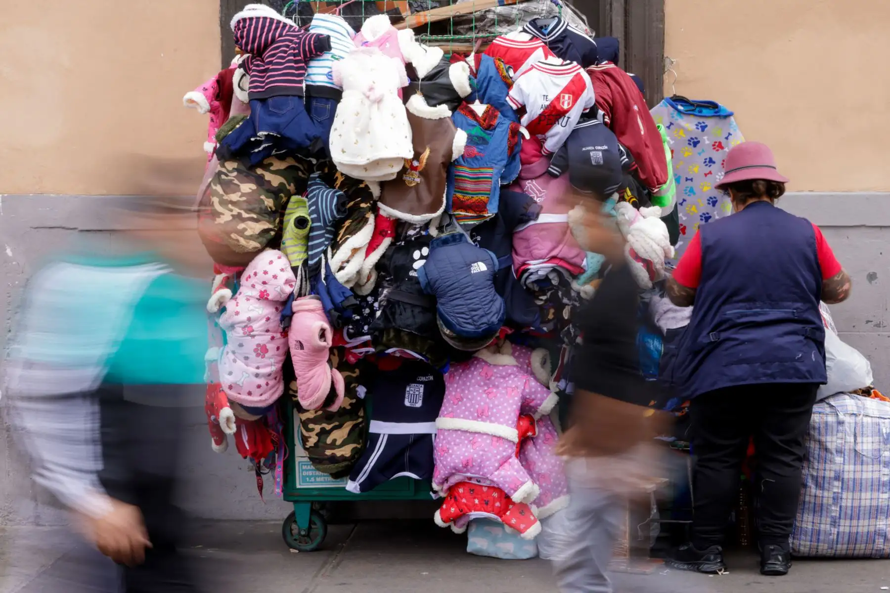 La cantidad de personas que se acercan a Mesa Redonda es elevada, por ello se recomienda ir temprano donde hay menos gente y así poder comprar con paciencia lo mejor para nuestros engreídos. Foto: ANDINA/Luis Iparraguirre