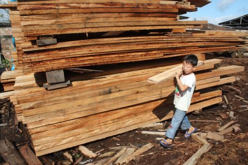 El Ministerio de Trabajo y Promoción del Empleo (MTPE), habilitó la línea gratuita 1819 para denunciar casos de trabajo infantil. Foto: Cortesía.