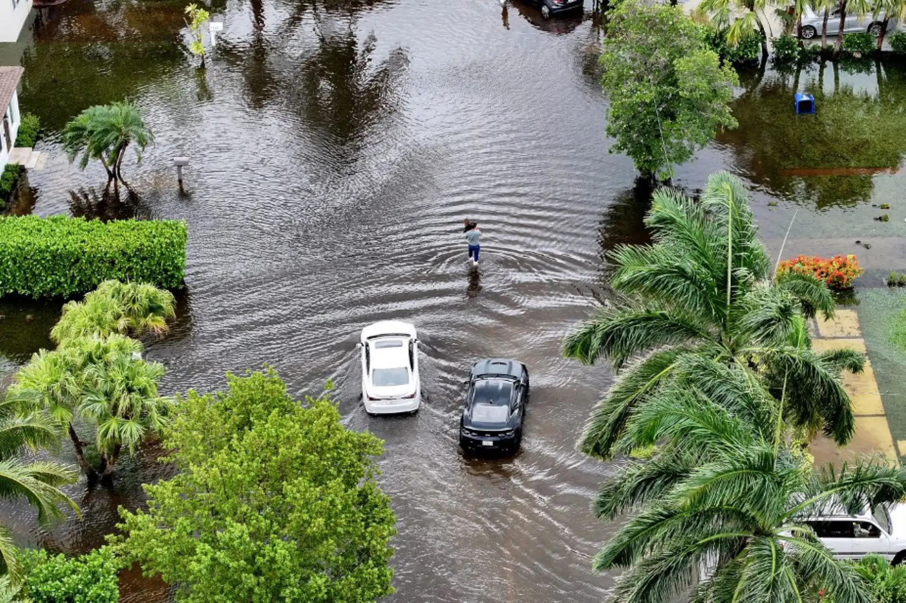 Vista aérea, la gente camina por una calle inundada, en Hallandale Beach, Florida. A medida que la humedad tropical pasa por la zona, algunas zonas se han inundado debido a las fuertes lluvias. Foto: AFP