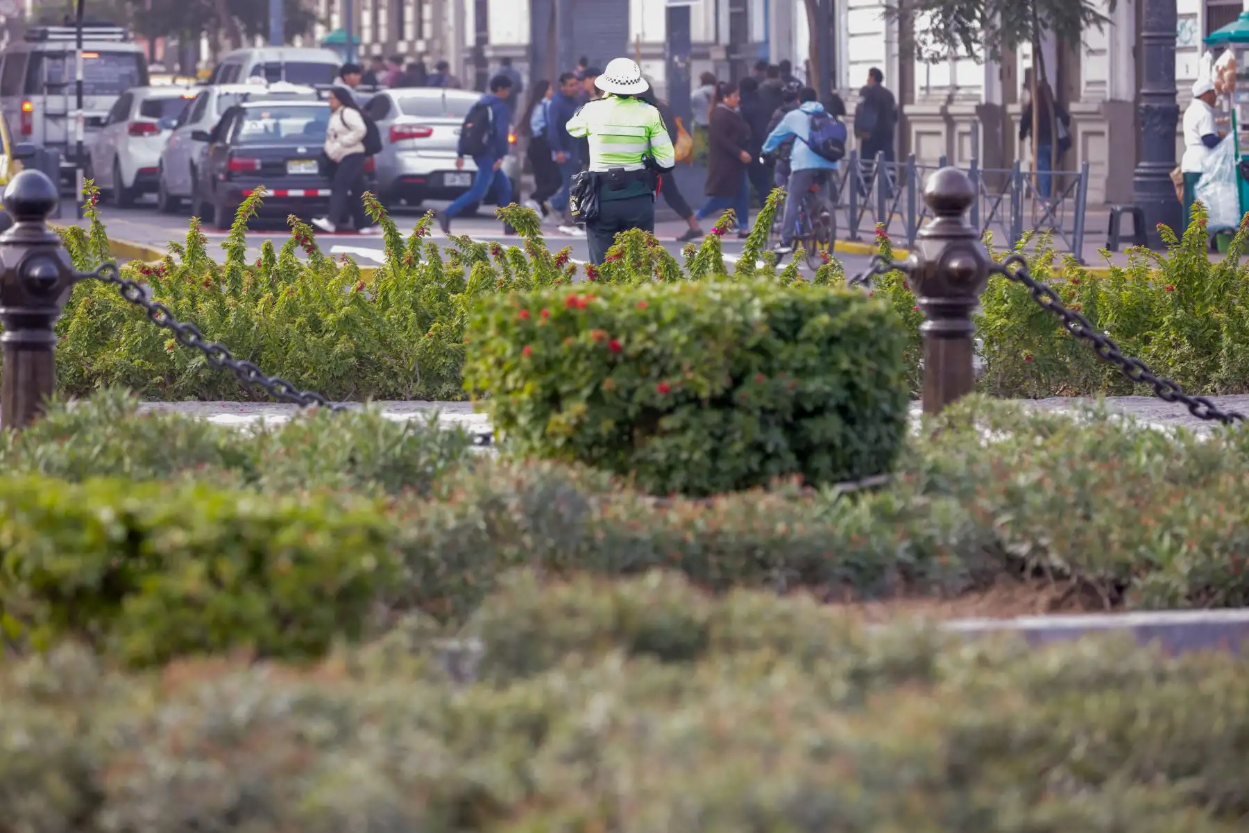 Para la remodelación de la plaza Dos de Mayo en el Cercado de Lima se habilitaron cuatro jardineras en el perímetro, los cuales separan a los transeúntes de los vehículos que transitan en la zona, a manera de cerco vivo. Foto: ANDINA/Luis Iparraguirre