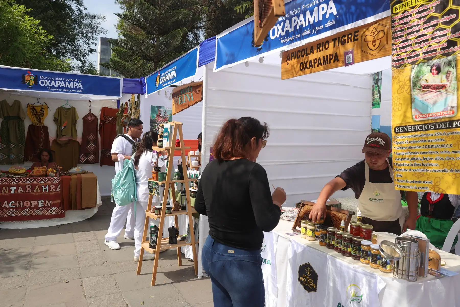 Chanchamayo, la capital cafetalera del Perú, será sede oficial de esta Décima Novena edición de la Semana Turística Selva Central 2024. Foto: ANDINA/Melina Mejía