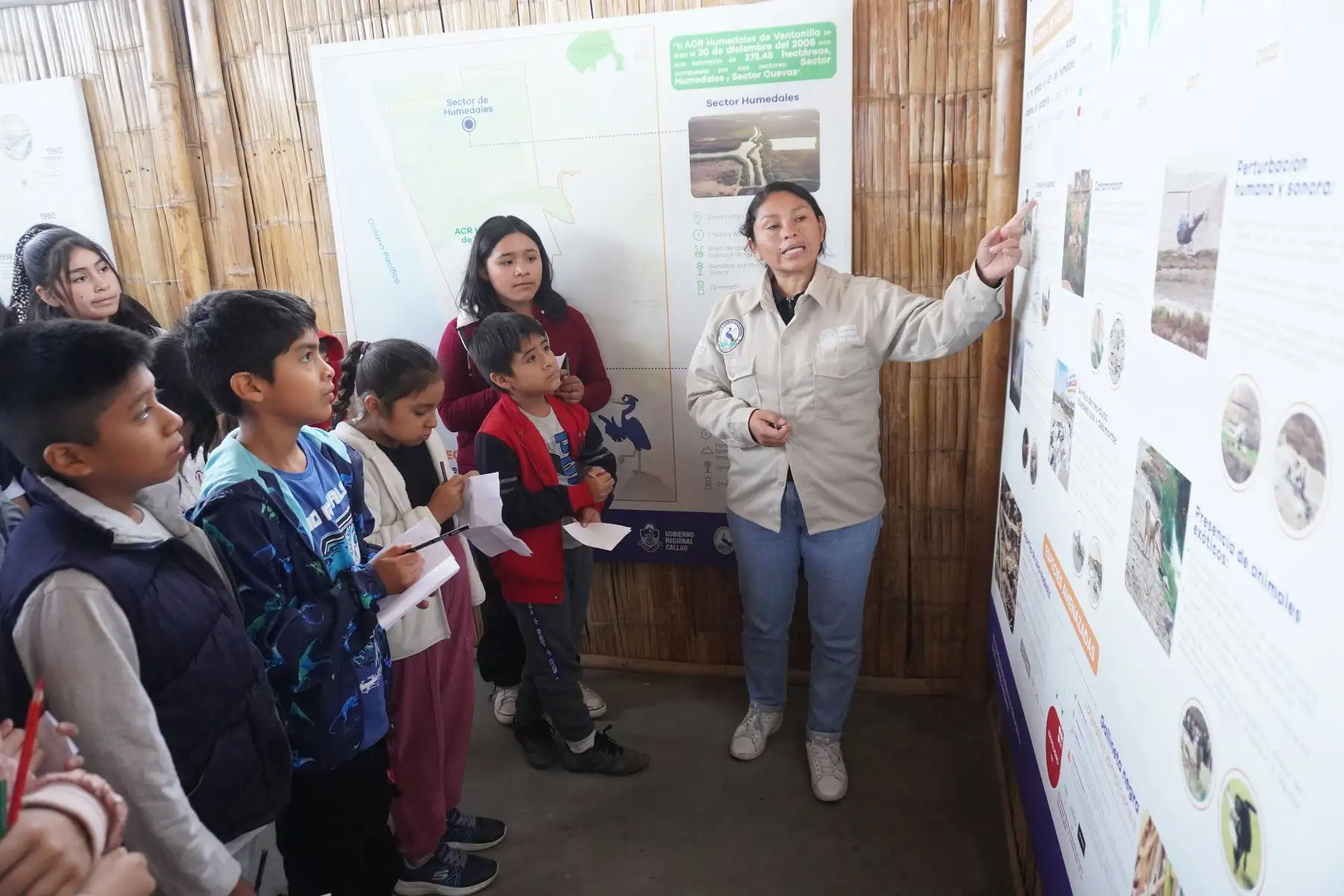 Al inicio del recorrido, un equipo de especialistas del Centro de Interpretación  de los Humedales de Ventanilla muestra los 2 espacios naturales conformado por el Sector Humedales y Sector Cuevas.
Foto: ANDINA/Eddy Ramos