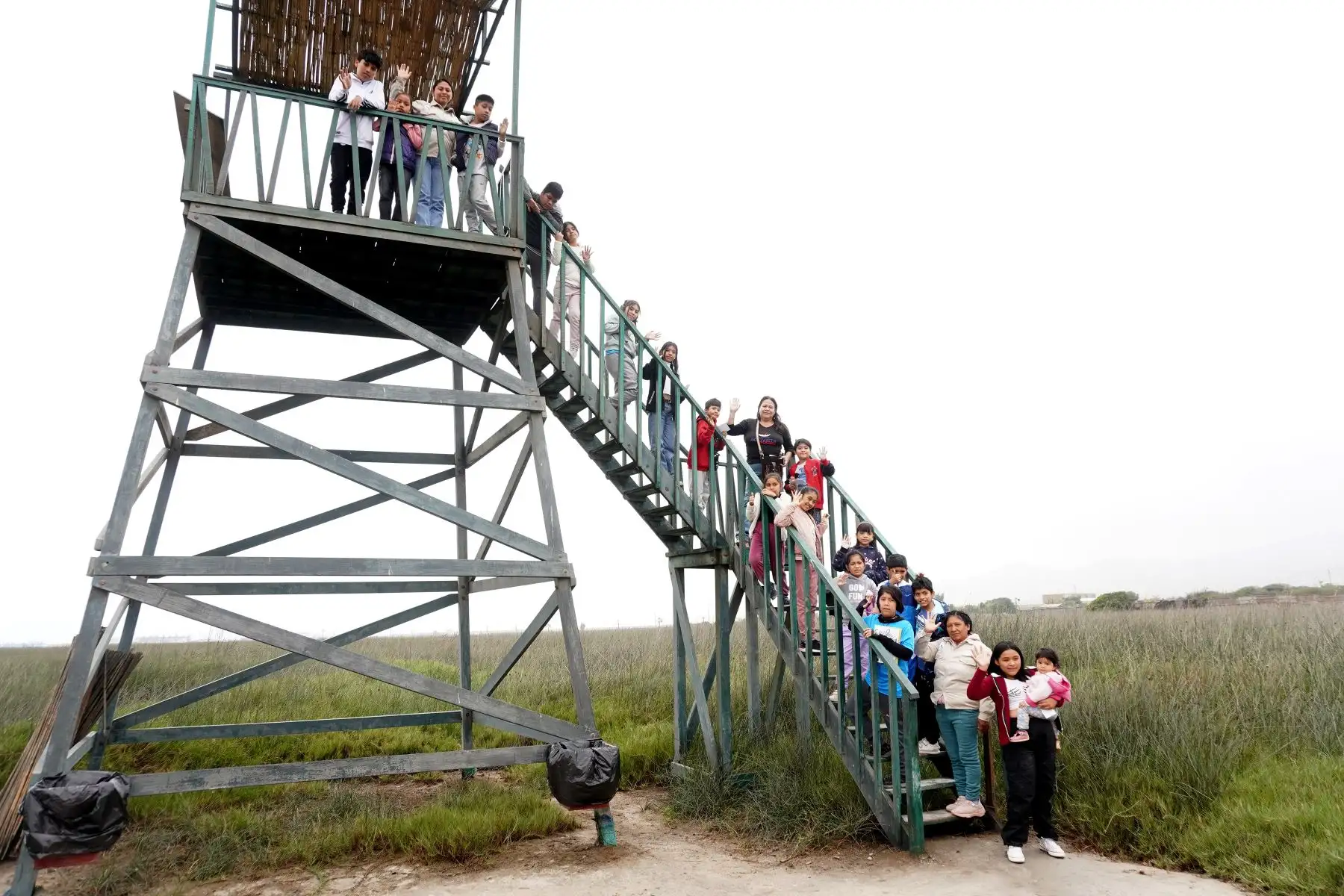 Los visitantes pueden acudir a este recinto ecológico, ubicado cerca de las playas del balneario Costa Azul de Ventanilla Además podrán apreciar especies de flora como la totora, junco, grama salada, Salicornia, caña brava y vega, como las más representativas.
Foto: ANDINA/ Eddy Ramos