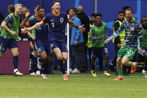Wout Weghorst puso el gol del triunfo de los Países Bajos