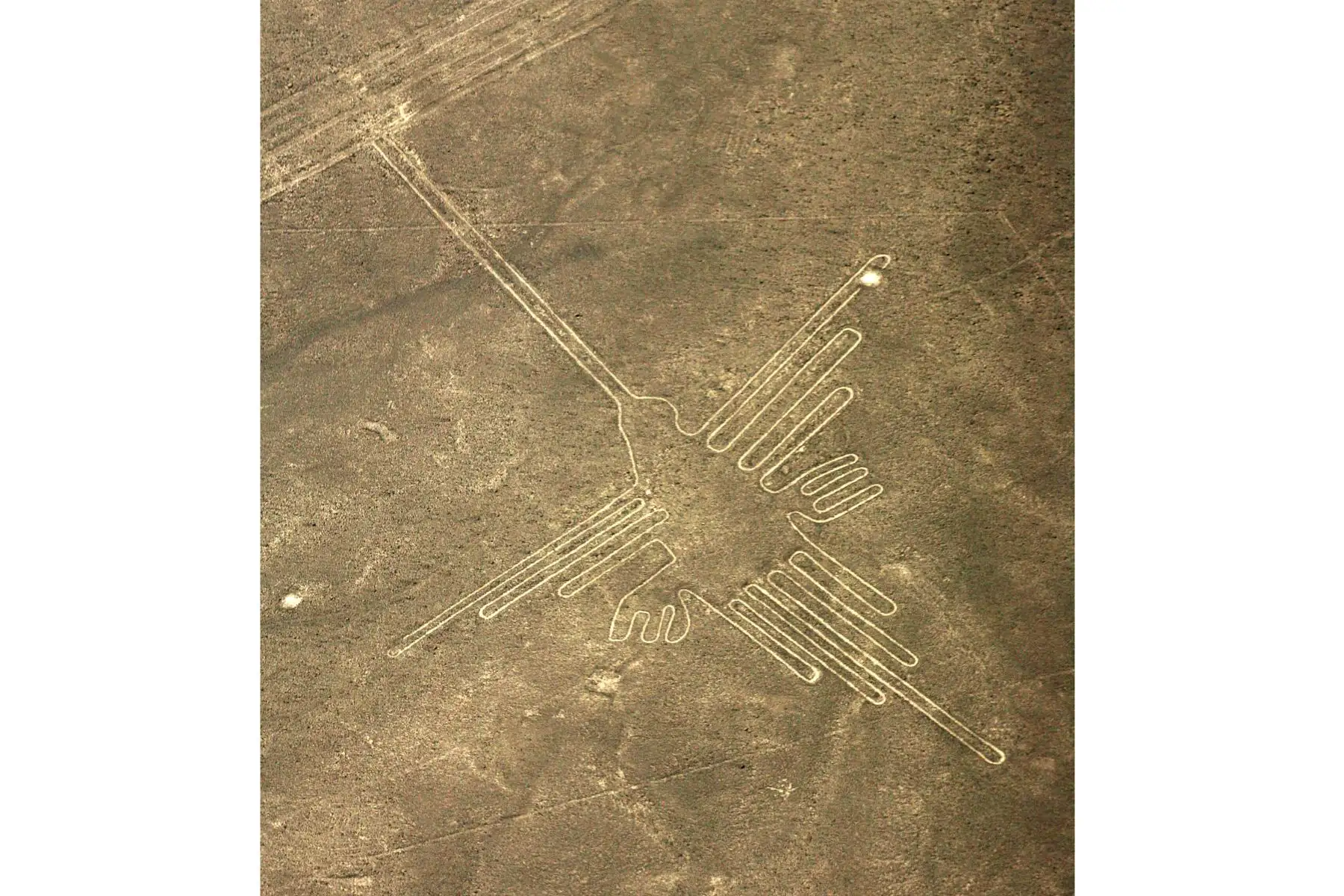 Vista aérea  de la figura llamada "colibrí" una del conjunto de geoglifos de las líneas de la cultura Nasca. Un grupo de arqueólogos encabezados por el italiano Giuseppe Orefici realizan labores de recuperación en Cahuachi, centro ceremonial y capital de dicha cultura Nasca, 
Foto: AFP