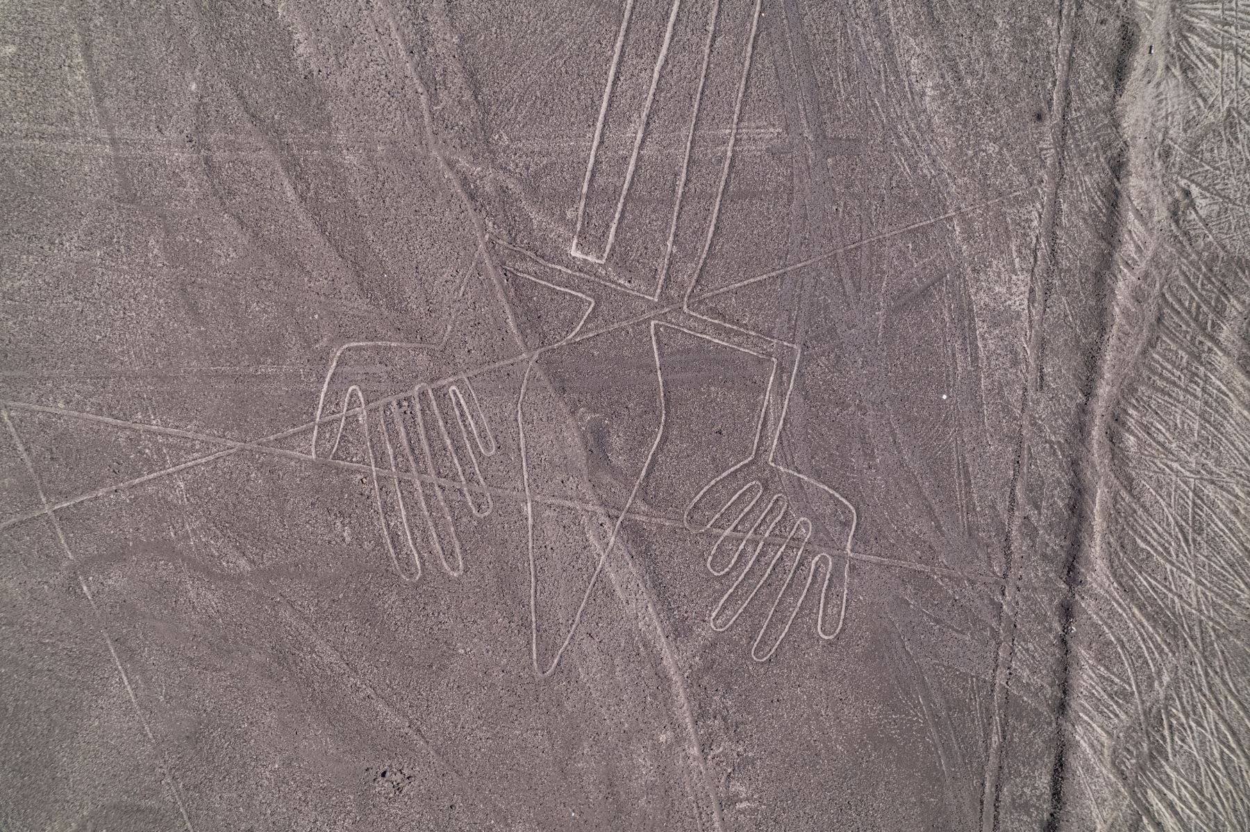 Las famosas Líneas de Nazca, reconocidas como Patrimonio de la Humanidad por la UNESCO, son geoglifos de más de 2.000 años de antigüedad con figuras geométricas y de animales que sólo pueden verse desde el cielo.
Foto: AFP