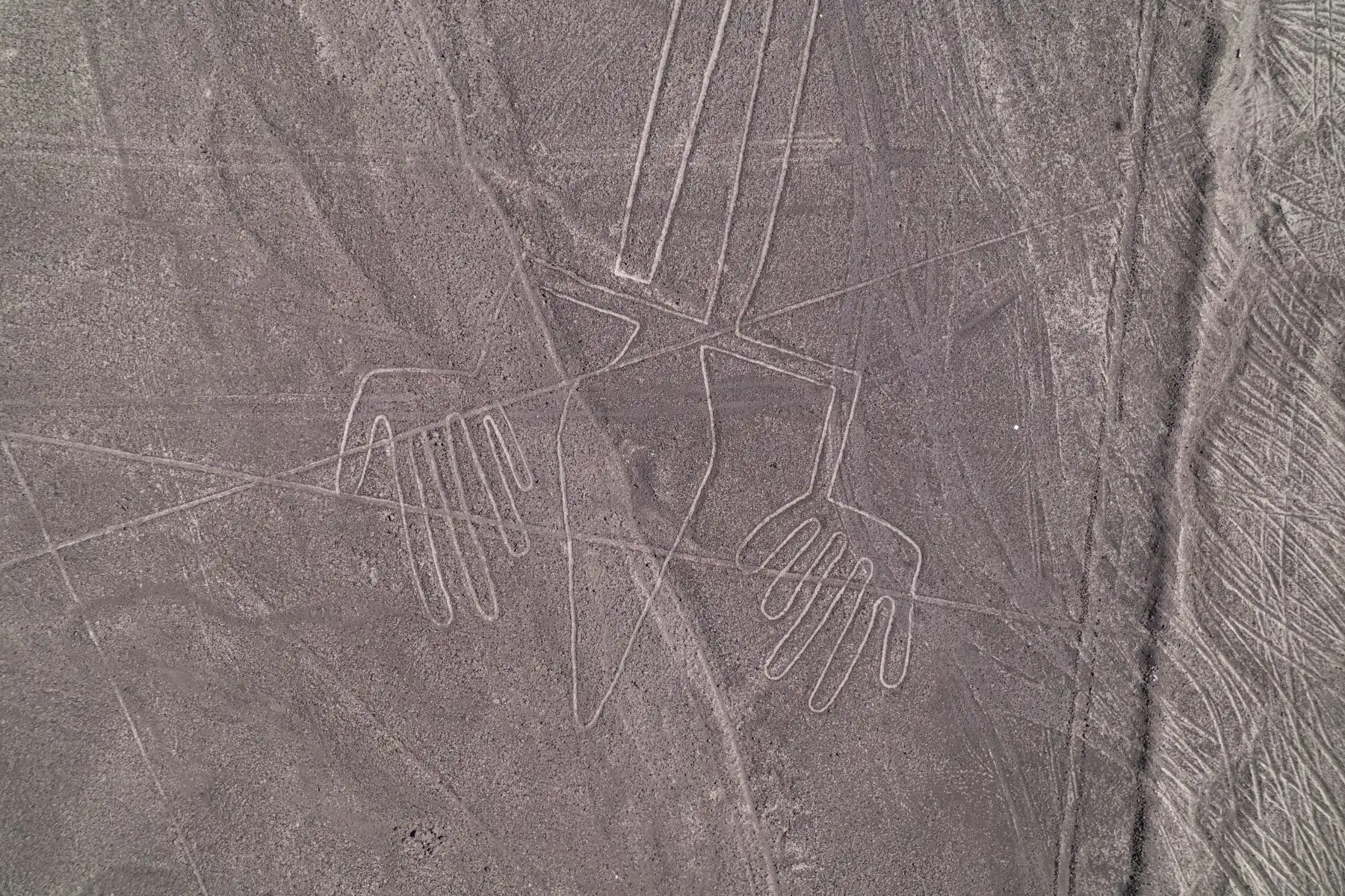 Las famosas Líneas de Nazca, reconocidas como Patrimonio de la Humanidad por la UNESCO, son geoglifos de más de 2.000 años de antigüedad con figuras geométricas y de animales que sólo pueden verse desde el cielo.
Foto: AFP