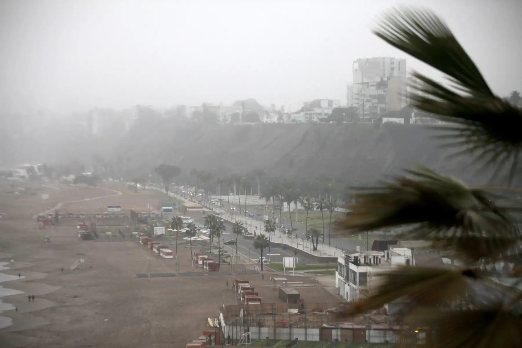Foto: ANDINA / Lino Chipana.
