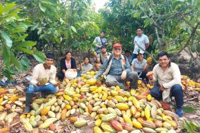 Con el apoyo del Midagri, productores del VRAEM exportan cacao orgánico a Europa. Foto: ANDINA/Difusión