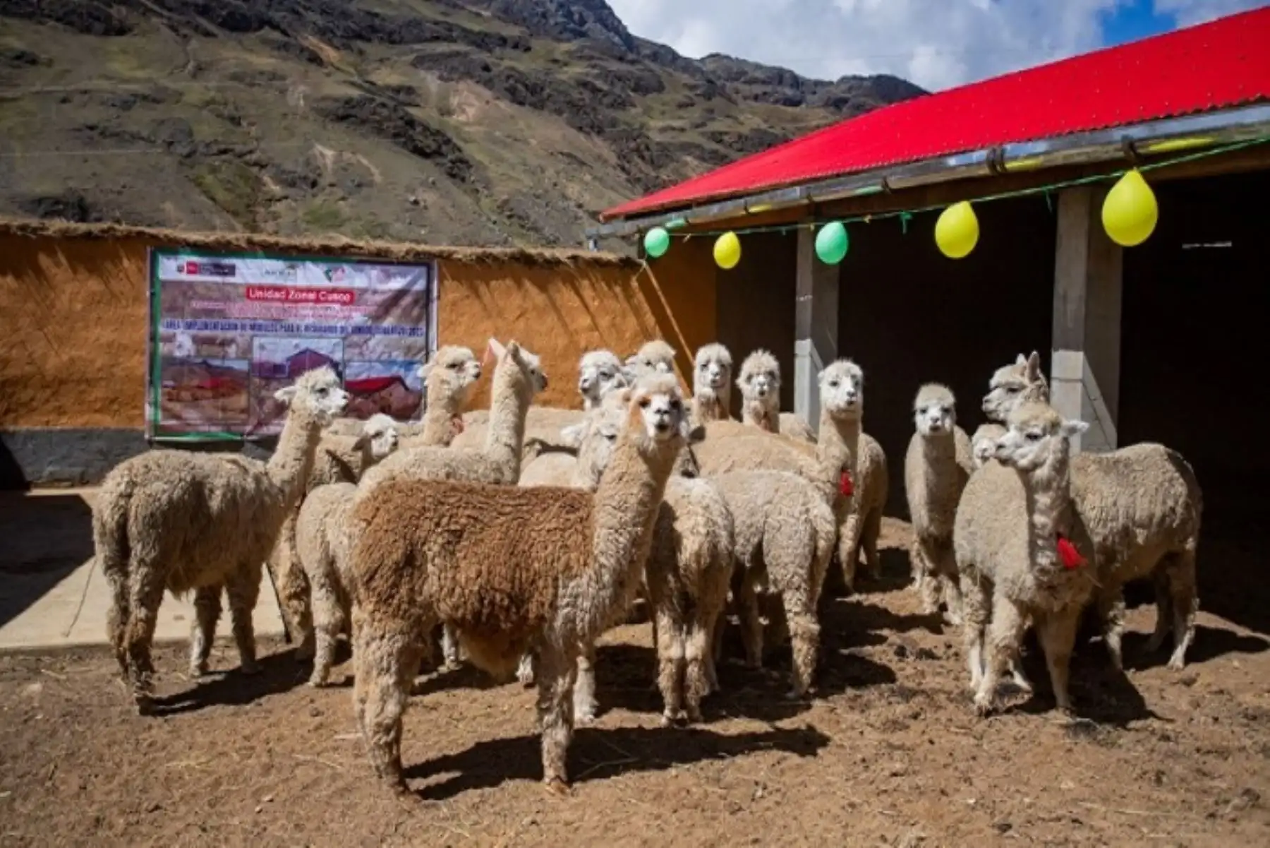 Plan ante heladas y friaje: Midagri entrega cobertizos y fitotoldos para 15 regiones