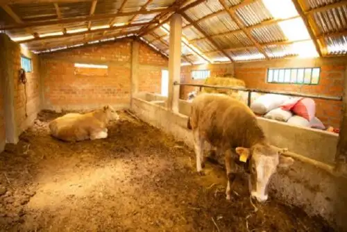 Más de 5,000 productores de zonas altoandinas se beneficiarán con cobertizos y fitotoldos que entregará Agro Rural.