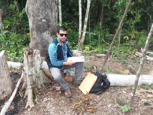 Fiscalía Especializada en Materia Ambiental de San Martín verificó la deforestación de varias hectáreas de árboles de bosque primario en el área de conservación regional Cordillera Escalera. ANDINA/Difusión