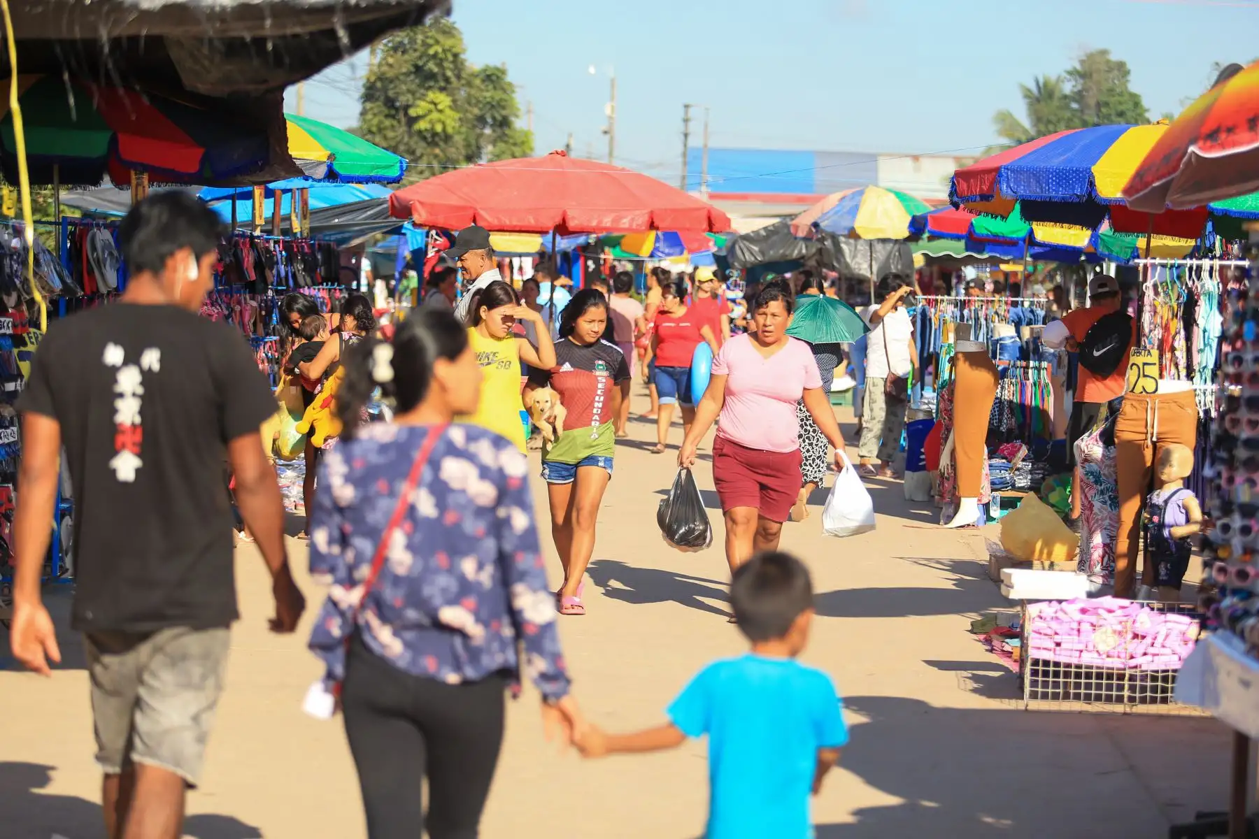 En vísperas del día  de San Juan, pucalpinos acuden al mercado minorista con entusiasmo y determinación. Foto: ANDINA/Braian Reyna
