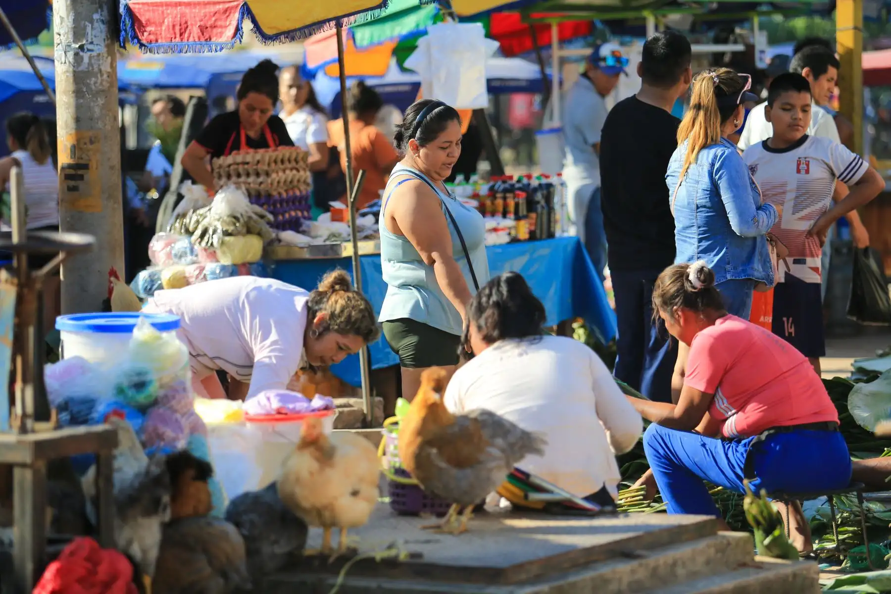 Esta actividad no solo refuerza las costumbres culinarias, sino que también fortalece el sentido de comunidad y anticipación de una de las festividades más importantes de la región. Foto: ANDINA/braian Reyna