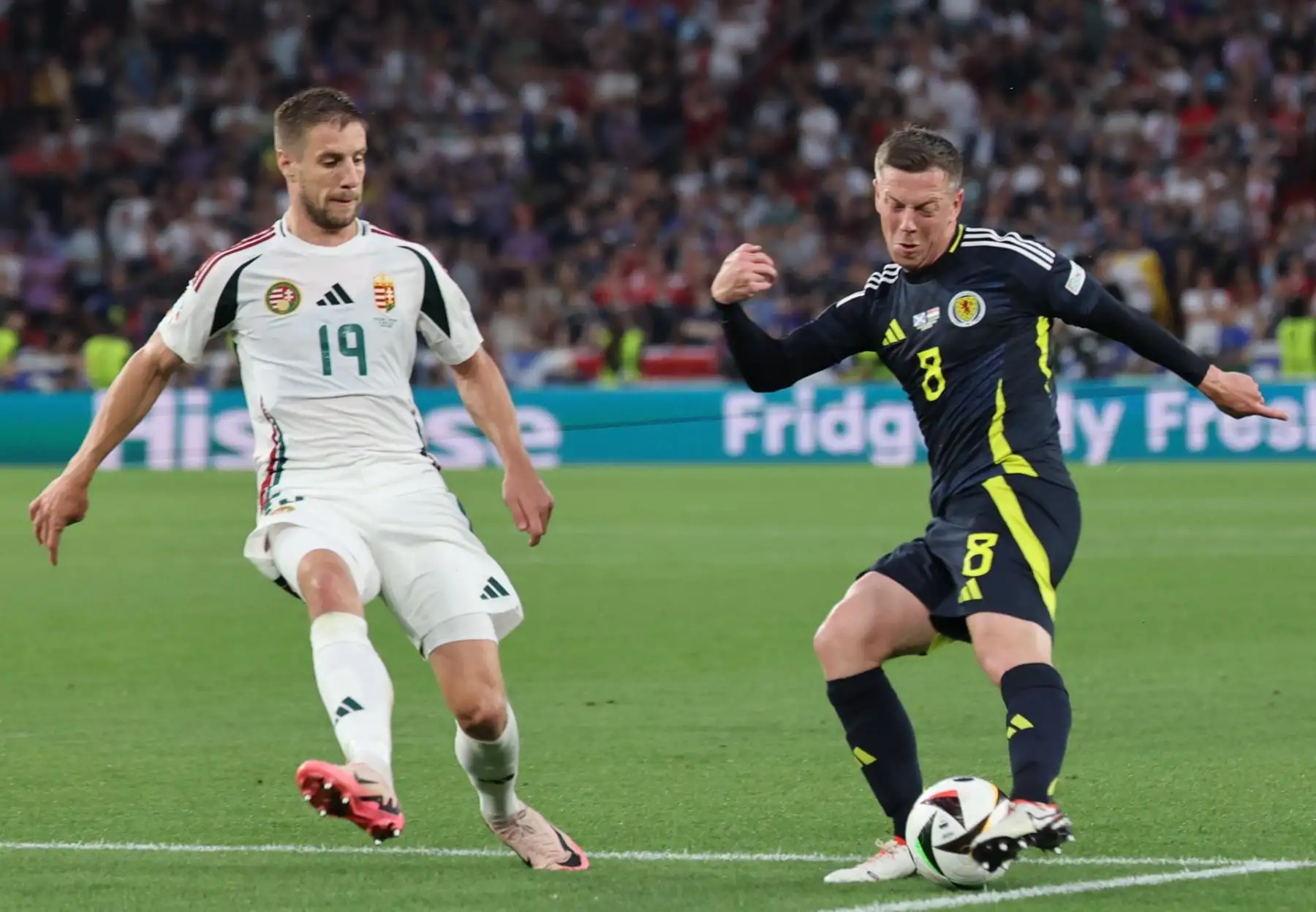 Barnabas Varga  de Hungría y Callum McGregor de Escocia en acción durante el partido de fútbol del Grupo A de la UEFA EURO 2024 entre Escocia y Hungría. EFE