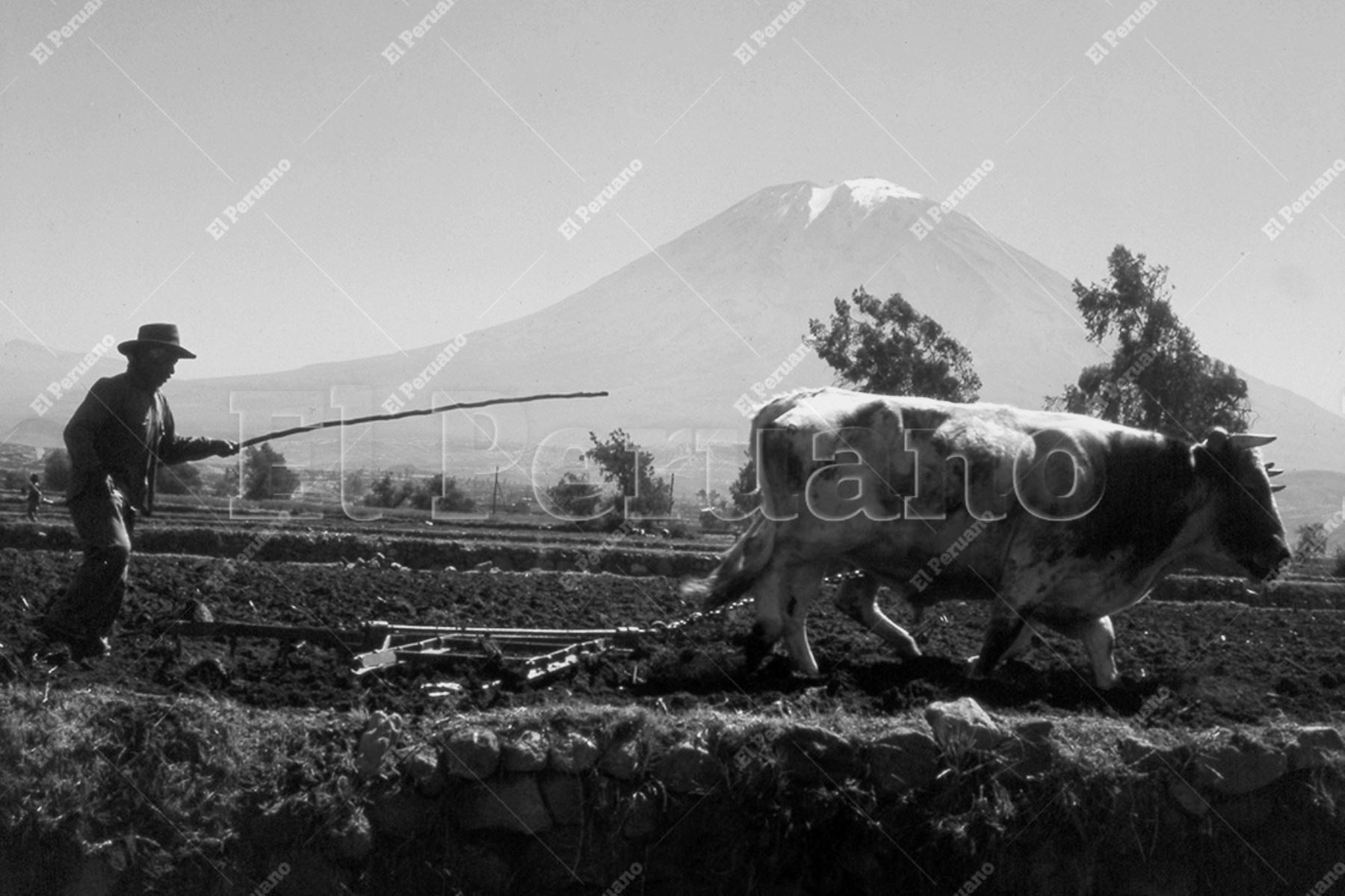 Arequipa - 1975 / Campesino arando la tierra con yunta al pie del Misti. Foto: Archivo Histórico de El Peruano