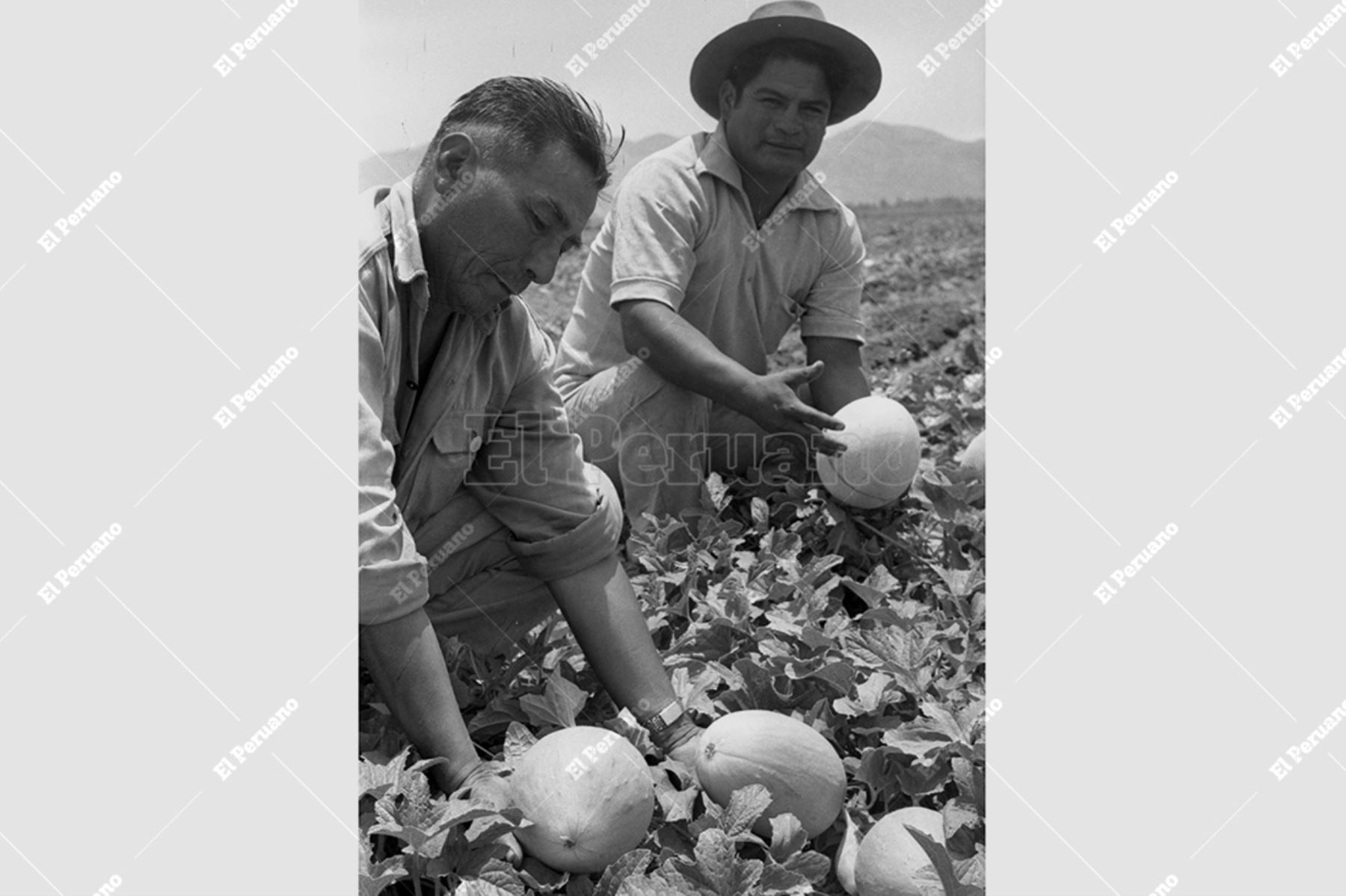 Lima - 24 enero 1976 / Campesinos de la Cooperativa de Producción Agraria Copacabana de Puente Piedra. Foto: Archivo Histórico de El Peruano /  Próspero Montoro