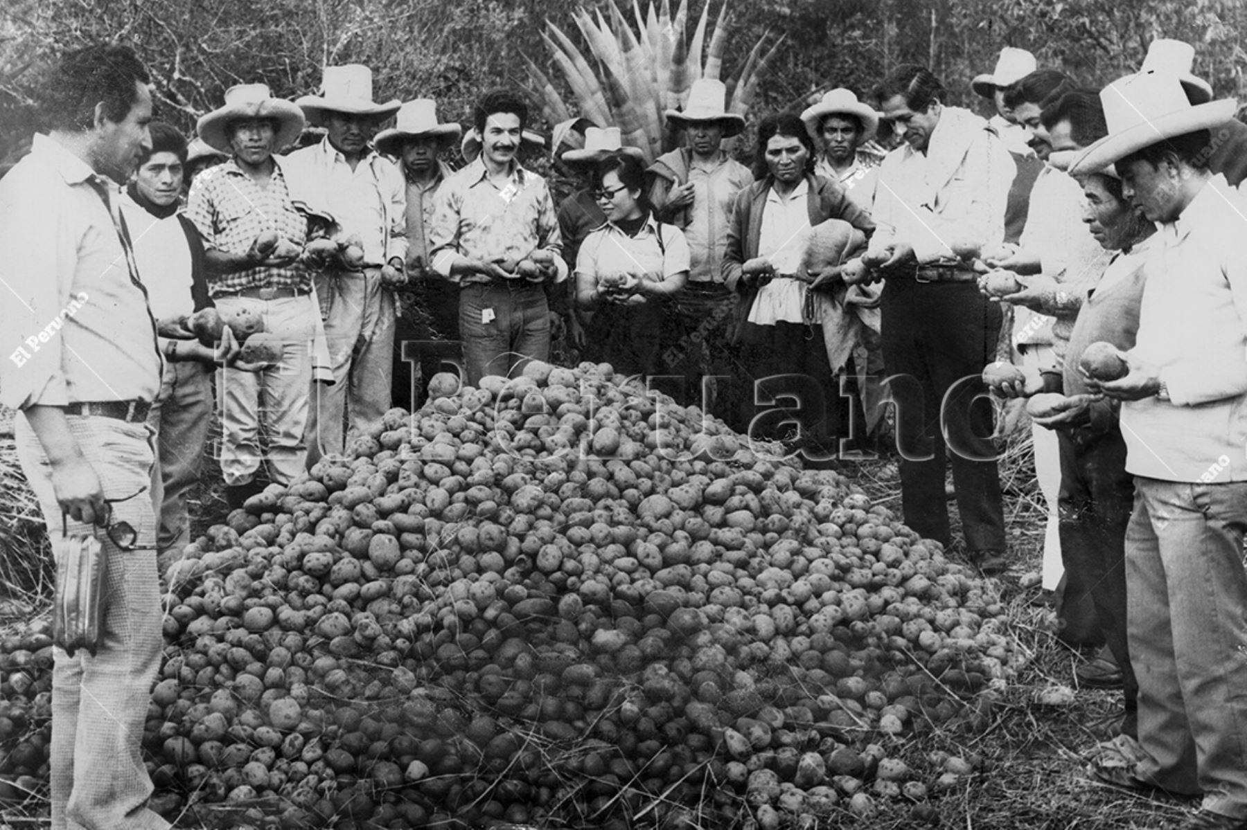 Cajamarca - 16 enero 1977 / Funcionarios y campesinos supervisan cosecha de papa en la Cooperativa Agraria El Triunfo. Foto: Archivo Histórico de El Peruano