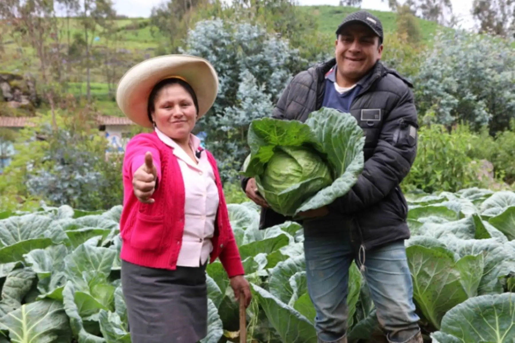 Haku Wiñay y Noa Jayatai han apoyado el desarrollo de 18,678 iniciativas de negocios en los rubros agropecuario, agroindustria, artesanal, piscicultura y de servicios.