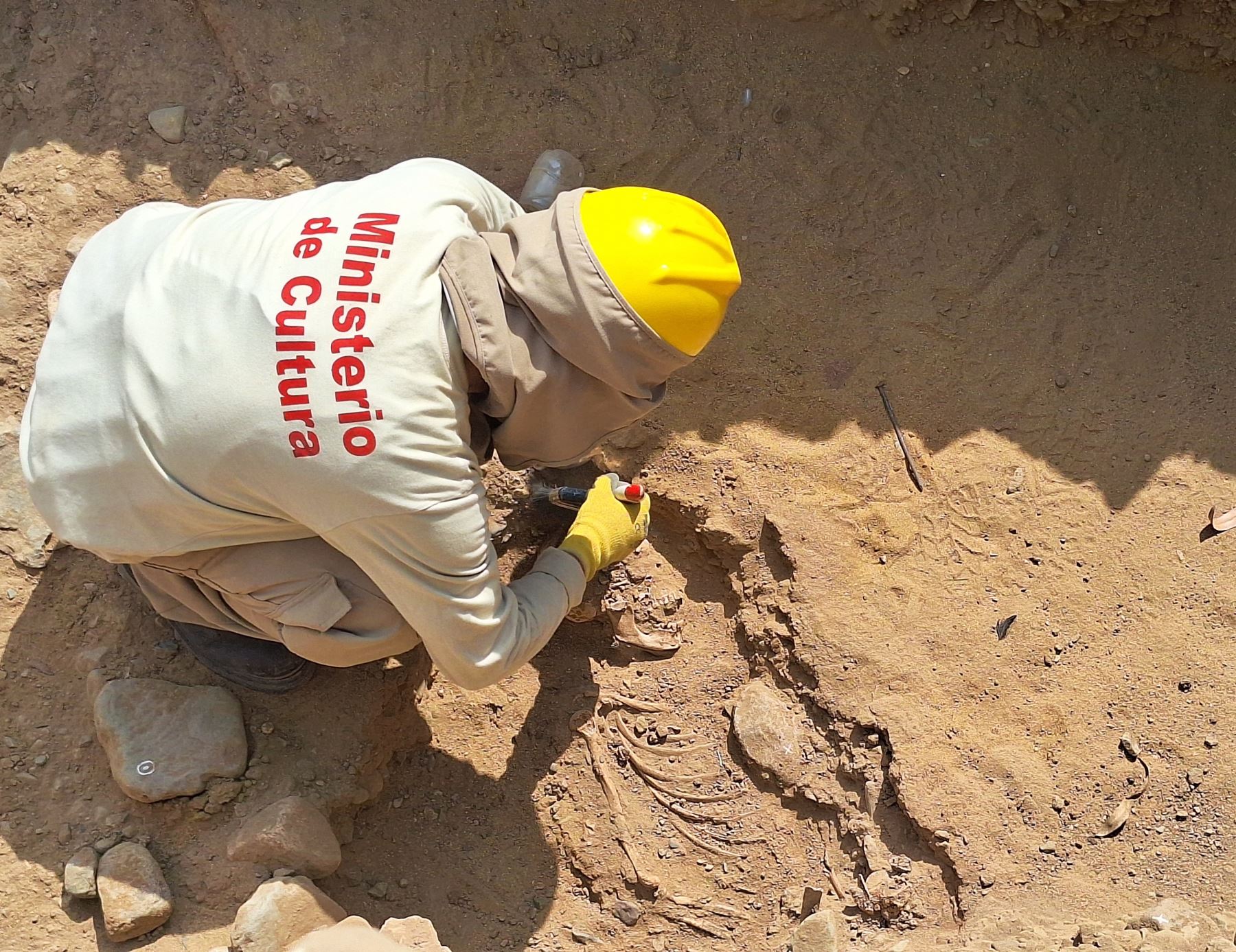 Impresionante hallazgo arqueológico en Chan Chan. Investigadores peruanos descubrieron restos óseos de 11 individuos, asociados a orejeras y otros vestigios al pie del muro perimetral del sector norte del conjunto amurallado Uthz An. Foto: Luis Puell