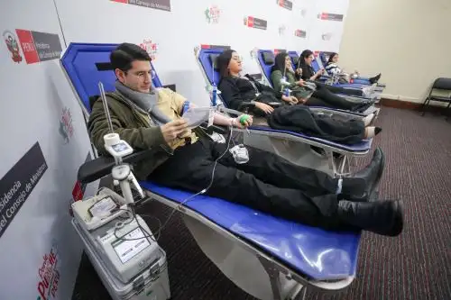 Pueden ser donantes voluntarios de sangre todas las personas de 18 a 60 años que pesen más de 50 kilos y gocen de buena salud. ANDINA/ PCM.