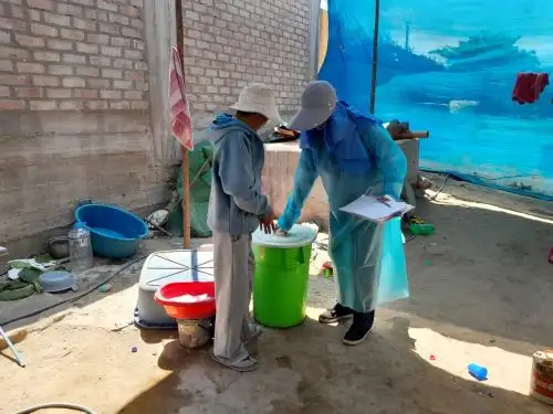 Autoridades de Salud de Arequipa implementan un sistema de vigilancia para prevenir la propagación del dengue en dicha región. ANDINA/Difusión