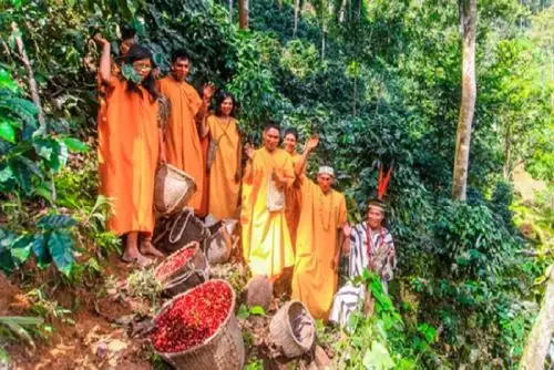 A la fecha se han firmado acuerdos de conservación con más de 300 comunidades para el desarrollo sostenible de 3.1 millones de hectáreas de la selva amazónica.