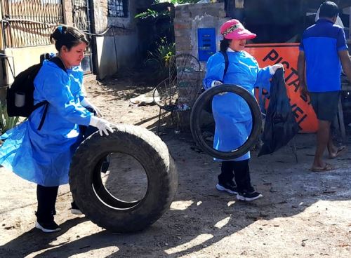 Cajamarca sigue en lucha contra dengue y brigadas de salud realizan jornada de recojo de inservibles en la provincia de Jaén, la más afectada por esta enfermedad. ANDINA/Difusión