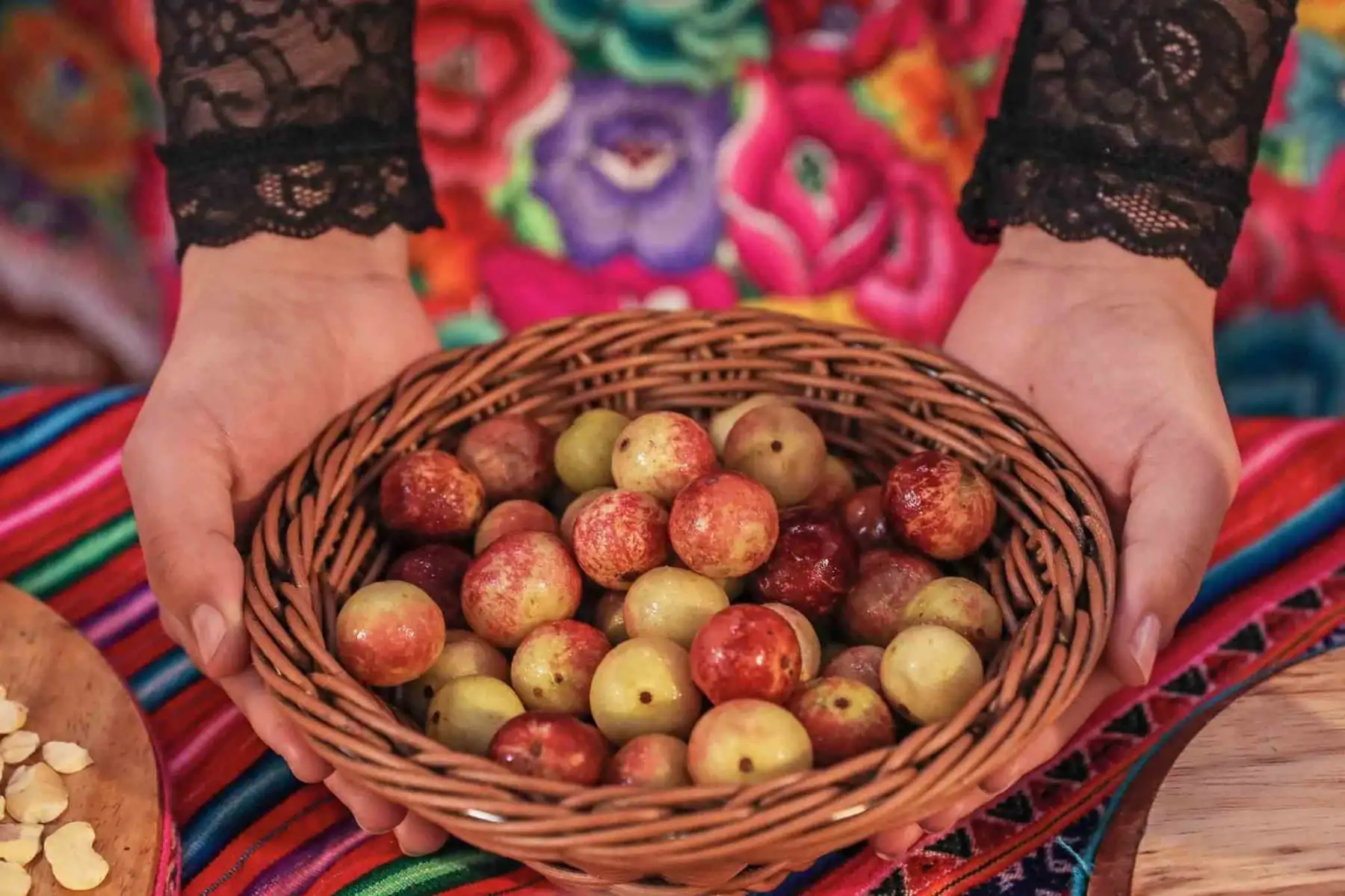 El camu camu es la fruta con mayor concentración de vitamina C en el mundo. Refuerza el sistema inmunológico, favorece la formación de colágeno y la absorción de hierro y ayuda con la cicatrización de las heridas. Fortalece el sistema inmunológico y aporta gran cantidad de vitamina C. Posee 5 veces más vitamina C que el limón y 30 veces más vitamina C que la naranja. Foto: ANDINA/ Connie Calderon
