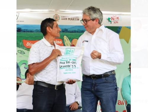 Con la presencia del viceministro de Políticas y Supervisión del Desarrollo Agrario del Midagri, Christian Garay, el INIA lanzó una nueva variedad de arroz en la región San Martín que aumenta en 13 % producción por hectárea. ANDINA/Difusión