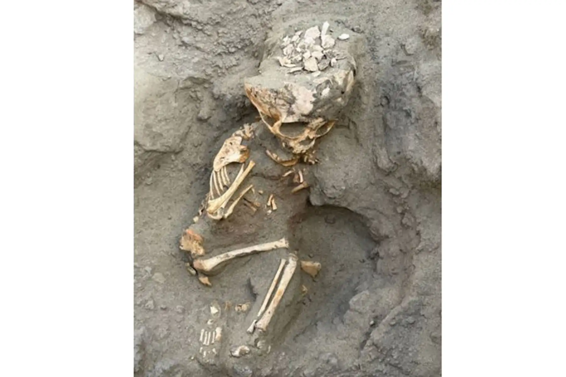 La arqueología peruana sigue sorprendiendo al mundo con nuevas revelaciones, y esta vez un equipo de investigadores desarrolla un trabajo pionero que acaba de descubrir en el distrito de Zaña, en la región Lambayeque, vestigios de dos estructuras monumentales, una de las cuales constituye un templo de hace 4,000 años.
Foto: ANDINA/ Difusión