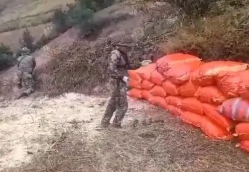 Efectivos policiales de la Dirección Antidrogas (Dirandro) y del Departamento de Operaciones Tácticas Antidrogas de Tingo María llevaron a cabo exitosos operativos en diferentes lugares de la región de Huánuco, donde decomisaron más de 5 toneladas de marihuana y 28 kilos de pasta básica de cocaína.