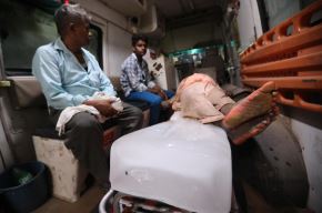 Al menos 116 muertos en la peor estampida en la India en la última década. Foto: EFE