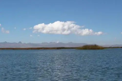 El proyecto cuenta con el apoyo financiero de Greenchoice y otros socios internacionales.