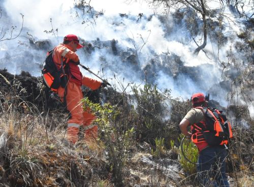 Espinar y Canchis son las provincias de Cusco más afectadas por los incendios forestales que se han reportado en lo que va del año en dicha región y que ya suman 28. Foto: ANDINA/difusión.