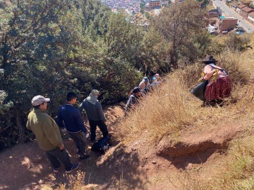 Pobladores y trabajadores de la Dirección Desconcentrada de Cultura de Cusco realizan jornada de limpieza en sitio arqueológico Pukin. ANDINA/Difusión