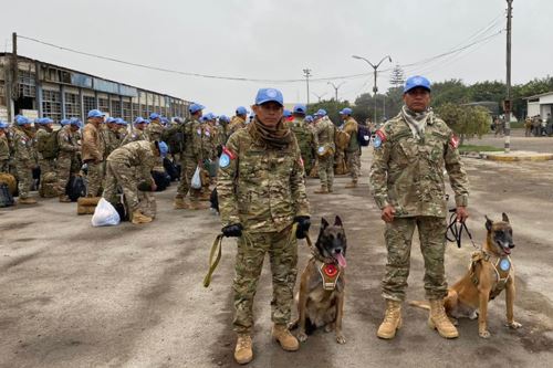 ‘Zarex’ y ‘Divix’, los perros militares que serán enviados a África. ANDINA/Difusión