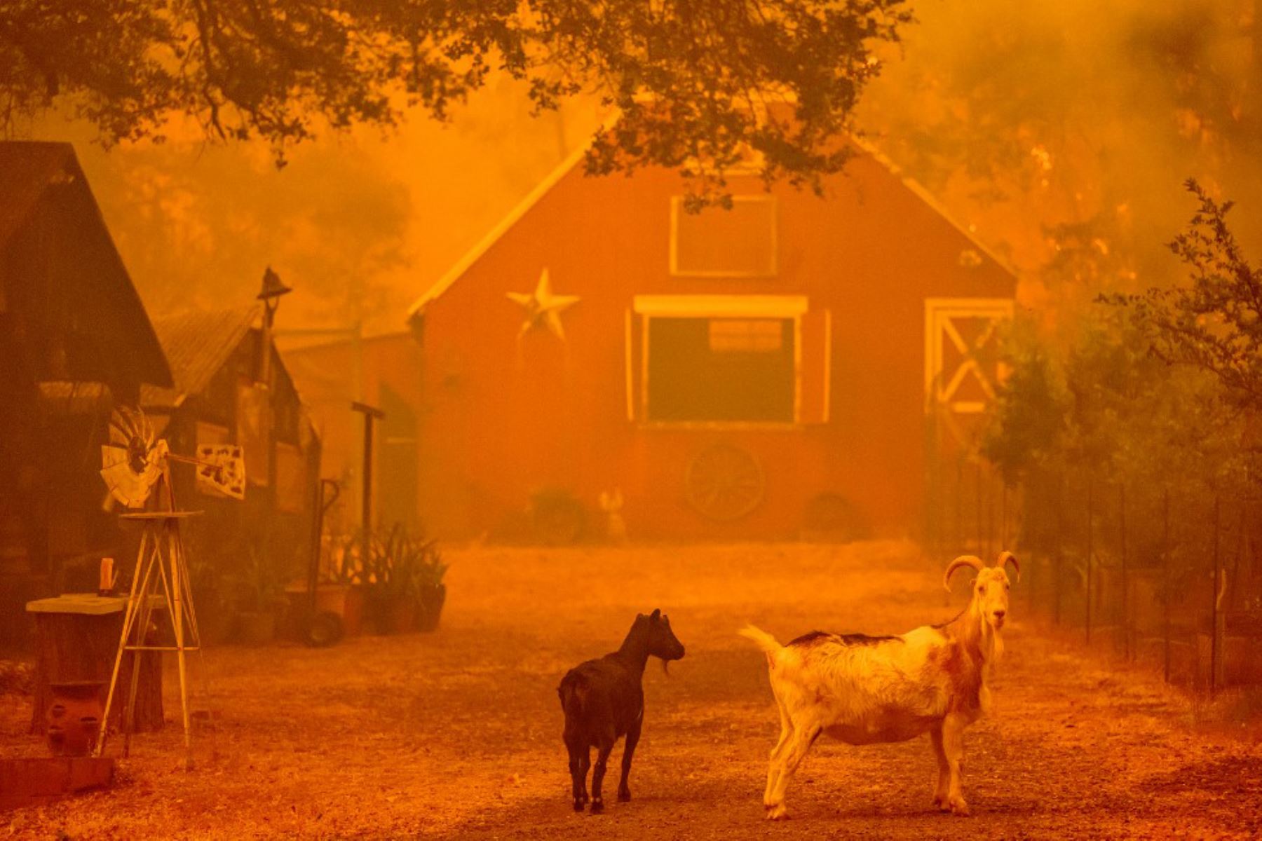 La localidad está a unos 110 kilómetros al norte de Sacramento, la capital de California, y a tan sólo 38 de Paradise, comunidad arrasada en 2018 por el devastador incendio Camp, el más letal de la historia del estado, con unos 85 fallecidos. Foto: AFP