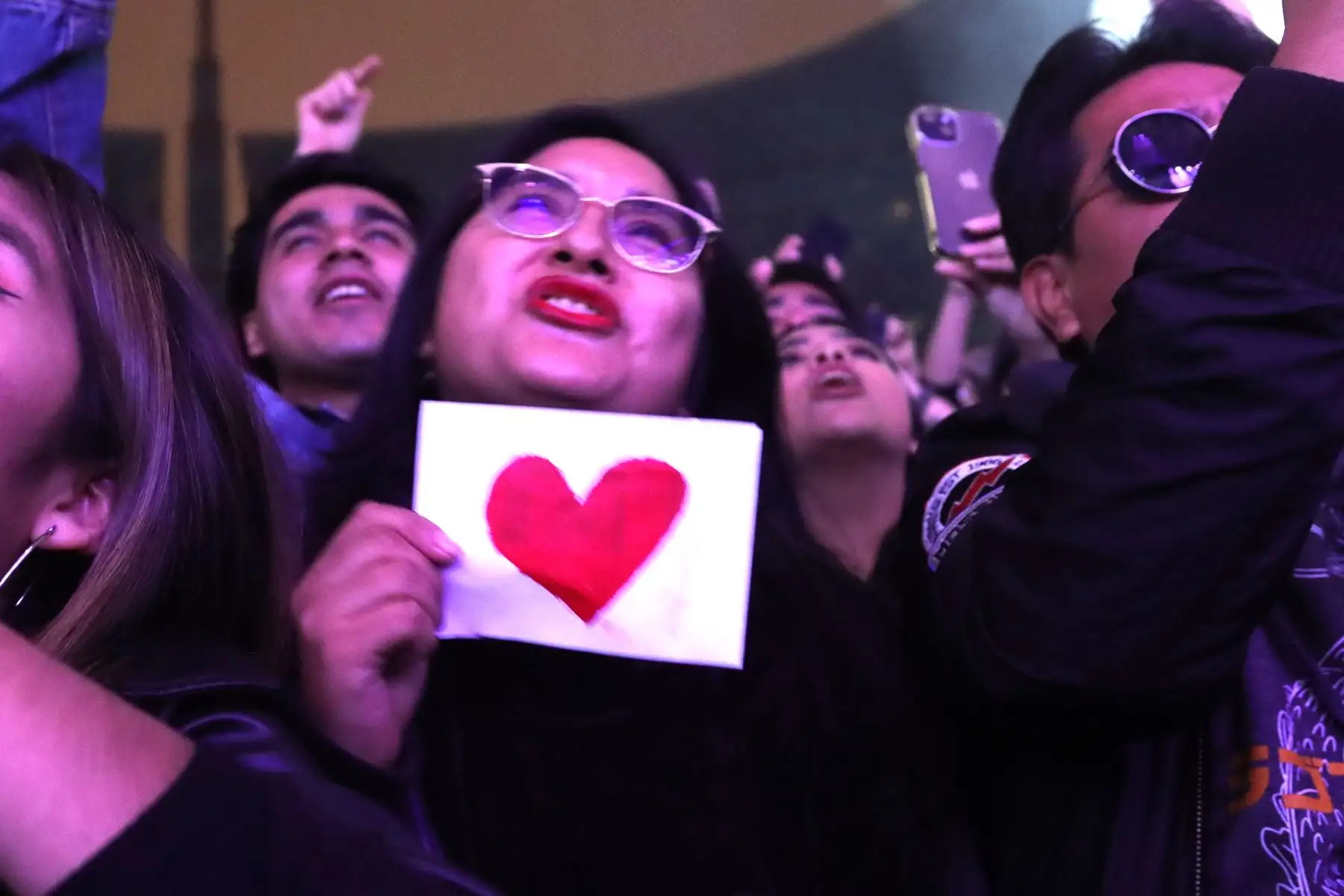 Fans de la banda de rock "Libido"  alientan a su grupo en un show de  reencuentro   en el Estadio Nacional.
Foto: ANDINA / Lino Chipana.