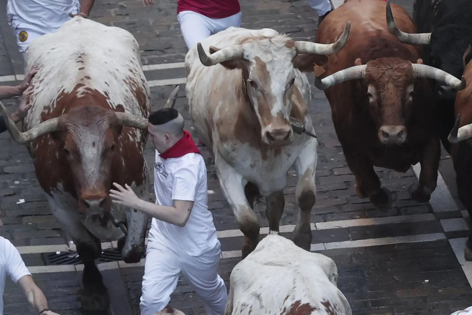 Primer encierro de los Sanfermines en el Día de San Fermín, copatrón de Pamplona, ciudad que celebra esta Fiesta de Interés Turístico Internacional hasta el próximo 14 de julio. EFE