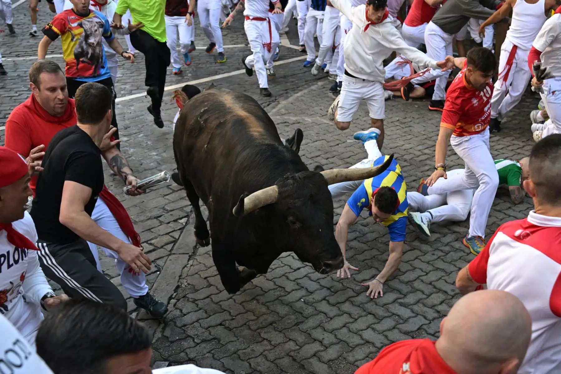 Una de las actividades más famosas de los sanfermines es el encierro que consiste en una carrera de personas a lo largo de un recorrido de 849 metros delante de los 6 toros que serán lidiados por la tarde en la corrida de toros. EFE